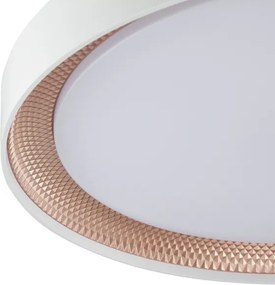 Brilliant - Stmievateľné LED stropné svietidlo WALDO LED/36W/230V biela/ružové zlato + diaľkový ovládač