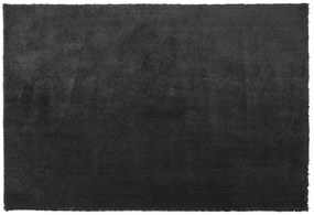 Koberec 200 x 300 cm čierny EVREN Beliani