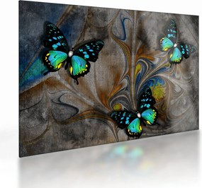 Sklenený obraz - Žiariví motýle na sklenený obraze (70x50 cm)