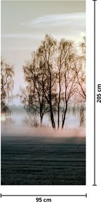 Fototapeta na dvere - Ranná sychravosť (95x205cm)