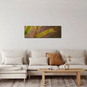 Obraz rastliny (s hodinami) (90x30 cm)
