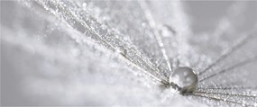Obraz - Kvapka vody (120x50 cm)