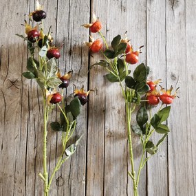 VETVIČKA šípky MIX ORANŽOVÁ/BORDOVÁ 70cm cena za 1ks