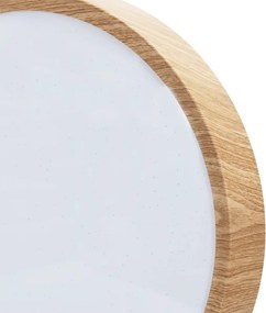 BRILAGI - LED stropné svietidlo NATURA LED/20W/230V 4000K priemer 33,7 cm