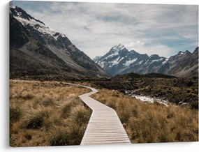 Obraz - Chodník v údolí hory Mt. Cook (70x50 cm)