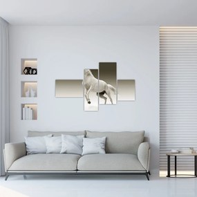 Obrazy bieleho koňa