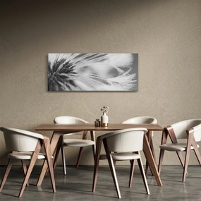 Obraz - Púpava (120x50 cm)