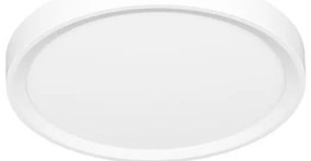 Ecolite W007-CCT/32W/BI - LED Stropné svietidlo SALY LED/32W/230V IP40 biela