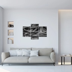 Obraz - Korene stromu (90x60 cm)