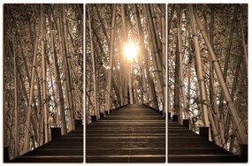 Obraz na plátne - Drevená promenáda v bambusovom lese 1172FB (135x90 cm)