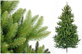 Foxigy Vianočný stromček Smrek Divoký 250cm