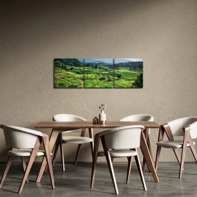 Obraz ryžových polí (s hodinami) (90x30 cm)