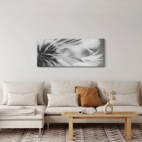 Obraz - Púpava (120x50 cm)