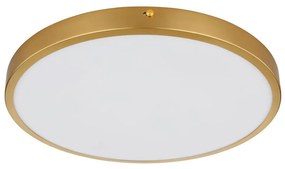 Globo 12381-22 - LED Stropné svietidlo TIBEY LED/22W/230V pr. 35 cm