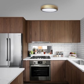 Stropné LED svietidlo Gea, 1x LED 36w, 3000-6000k, g, s ovládačom
