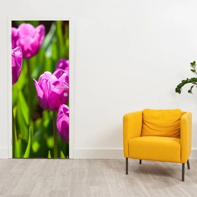 Fototapeta na dvere - Tulipány na lúke (95x205cm)