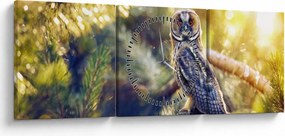 Obraz sovy na strome (s hodinami) (90x30 cm)