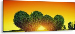 Obraz - Srdce v korunách stromov (120x50 cm)