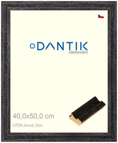 DANTIK rám na obraz 40x50 | LYON černá (Plexi Čiré)