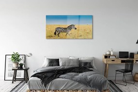 Obraz na akrylátovom skle Zebra box 125x50 cm