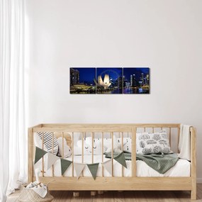 Obraz nočného Singapuru (s hodinami) (90x30 cm)