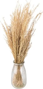Dekorácia béžová sušená kvetina - 60 cm (100 gr)