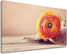 Obraz na stenu KVETY KV098E11 - 30x40 cm