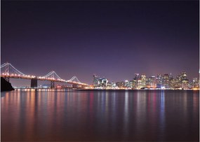 Obraz pohľadu na San Francisco, California (70x50 cm)