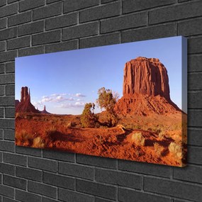 Obraz na plátne Púšť krajina 140x70 cm