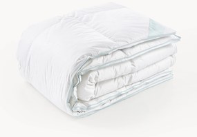 Páperový paplón Comfort, extra hrejivý