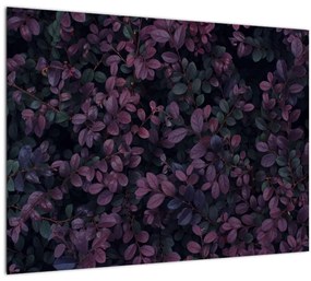 Sklenený obraz tmavočervených lístočkov (70x50 cm)