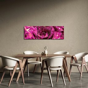 Obraz ružového kvetu ruže (s hodinami) (90x30 cm)