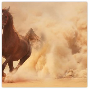 Cválajúci kôň - obraz