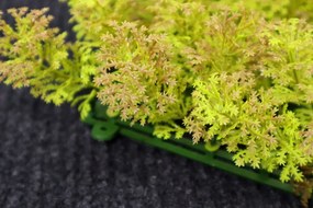 Umelý rastlinný panel KATE MOSS 50 x 50 cm - Panel 50x50 Europe Grass