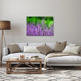 Sklenený obraz fialových lúčnych kvetov (70x50 cm)
