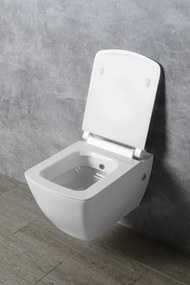Isvea Isvea, PURITY WC sedátko, SLIM, Soft Close, biela, 40S80200I