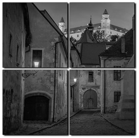 Obraz na plátne - Bratislava staré mesto s hradom vzadu - štvorec 3265QE (100x100 cm)