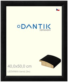 DANTIK rám na obraz 40x50 | LEDVINKA černá (Plexi Čiré)