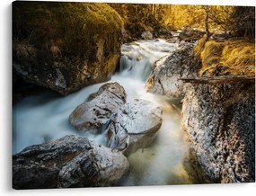 Obraz - Lesný potok (70x50 cm)