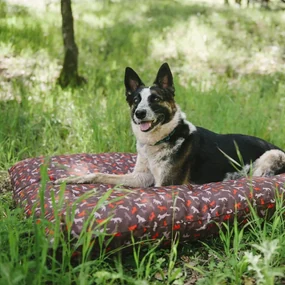 Hnedý pelech pre psa 70x90 cm Outdoor Bed Mocha M – P.L.A.Y.