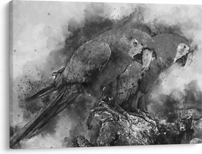 Obraz - Akvareloví papagáje (70x50 cm)