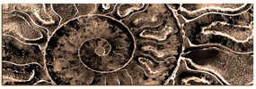 Obraz na plátne - Textúra fosílie - panoráma 5174FA (120x45 cm)
