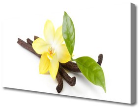Obraz Canvas Vanilka listy rastlina 140x70 cm