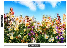 Fototapeta Vliesová Jarné kvety 250x104 cm