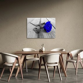 Sklenený obraz - Modrá ruža (70x50 cm)