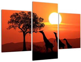 Obraz žirafy pri západe slnka (90x60 cm)