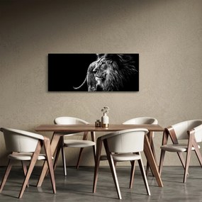 Obraz - Lev, čiernobiela (120x50 cm)