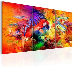 Obraz - Colourful Parrot Veľkosť: 120x60, Verzia: Na talianskom plátne
