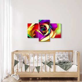 Obraz - Farebná ruža (90x60 cm)