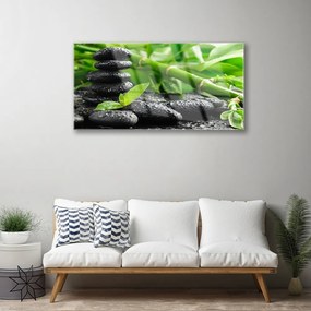 Obraz na skle Bambus kamene rastlina 100x50 cm
